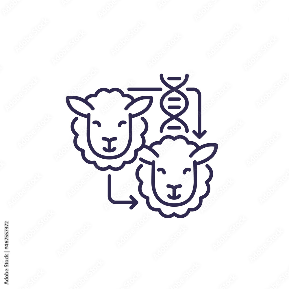 cloning line icon with a sheep cloning line icon with a sheep