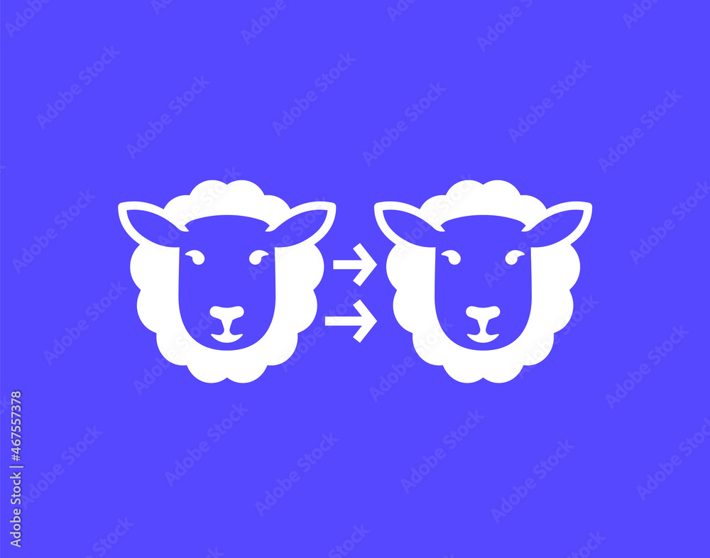 cloning icon with a sheep, vector