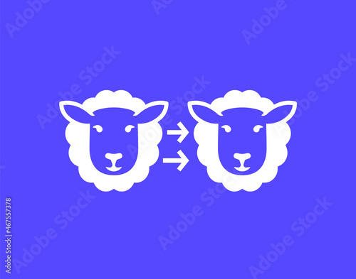cloning icon with a sheep, vector