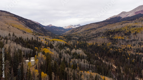Forest near the Red Mountain Pass - Ourya Colorado