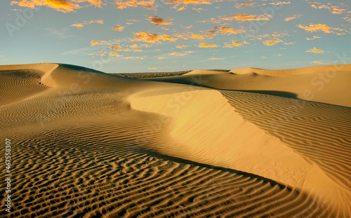 Wahiba sand dunes in the Oman photo