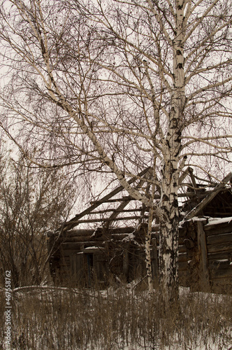 remains of a house in Bashkortostan © Rail Ishmukhametov