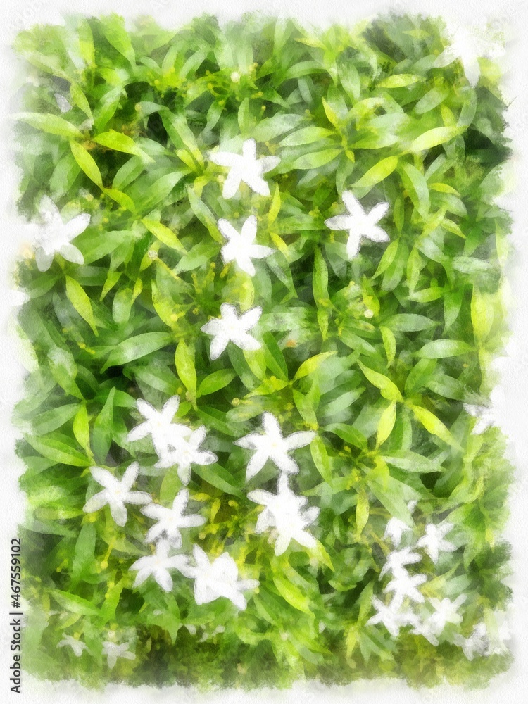 small white flower bush watercolor style illustration impressionist painting. small white flower bush watercolor style illustration impressionist painting.