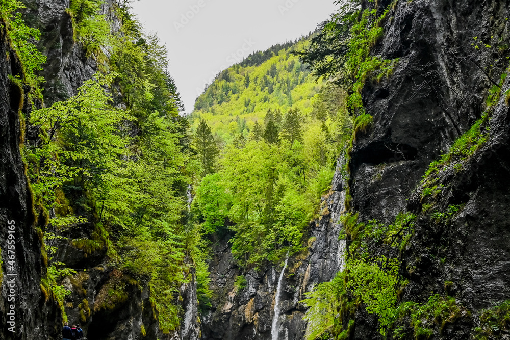 Meiringen, Aareschlucht, Schlucht, Aare, Felsen, Wasserfall, Kalkstein, Haslital, Fluss, Wanderweg, Alpen, Berner Oberland, Frühling, Sommer, Schweiz