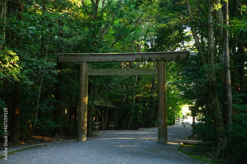Ise Jingu Shrine Main Sanctuary Path and Torii Gate in Mie, Japan - 日本 三重県 伊勢神宮 外宮 参道 鳥居