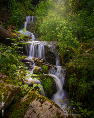 Fototapeta Naklejka Na Ścianę i Meble -  Wasserfall in Blauenthal
