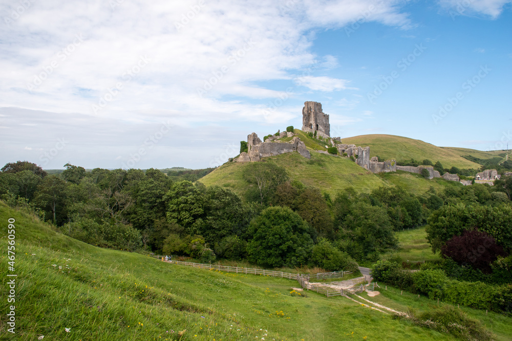 View of Corfe Castle from West Hill in Dorset