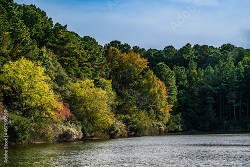 lake in Autumn Forest