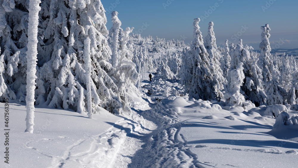 Pole marked hiking path in winter mountains.
