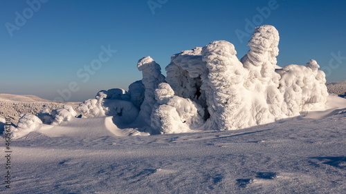 Snowy statues from trees covered with snow in the mountains. photo