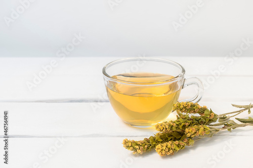 Glass cup of herbal tea with Mursalski Chai and dried herbs on white wooden table with copy space photo