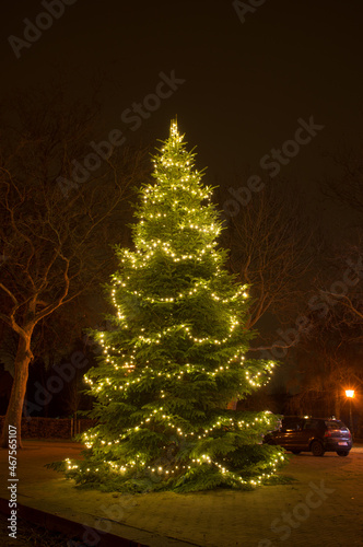 Large christmas tree with lights outside at night