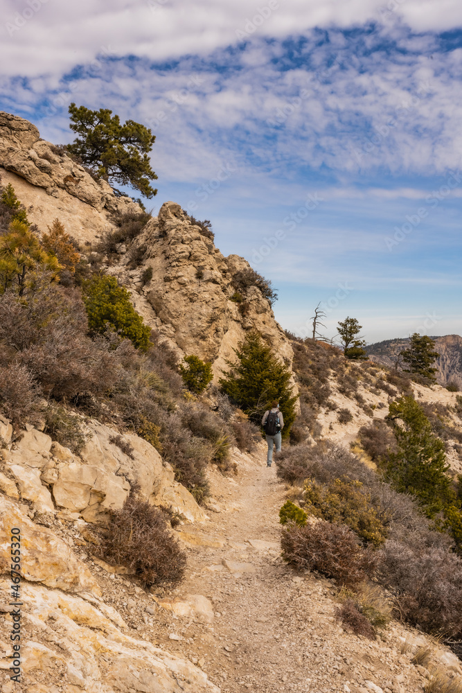 Hiker On Trail Climbing Up To Guadalupe Peak Hiker On Trail Climbing Up To Guadalupe Peak