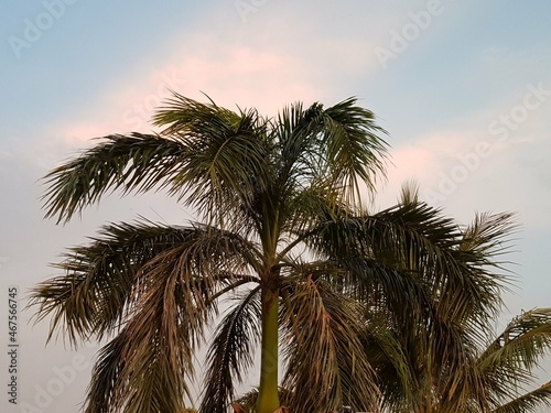 Beautiful view of the clouds and the blue sky with coconuts trees