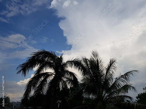 Beautiful view of the clouds and the blue sky with coconuts trees