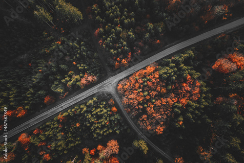 Drohnenfotografie im Herbst, Straße und Wald