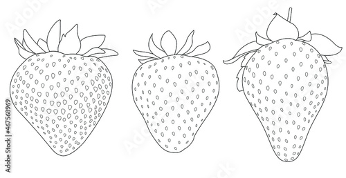 Strawberry. Berries isolated on white. Different sizes. Black outline. Coloring page.
