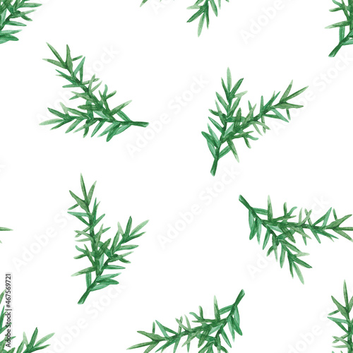 Seamless pattern with branches of a Christmas tree or rosemary on a white background. The elements are hand-drawn in watercolor, for Christmas, New Year or culinary decor.