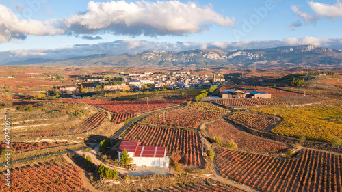 aerial view of la rioja vineyards, Spain photo