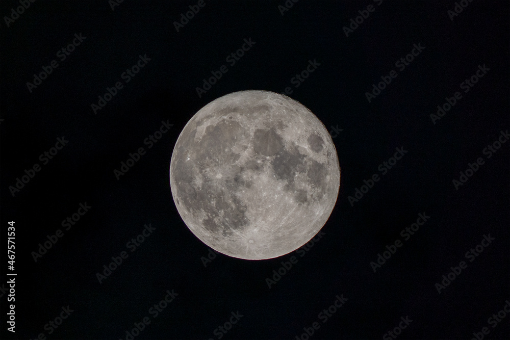 Fototapeta premium 月