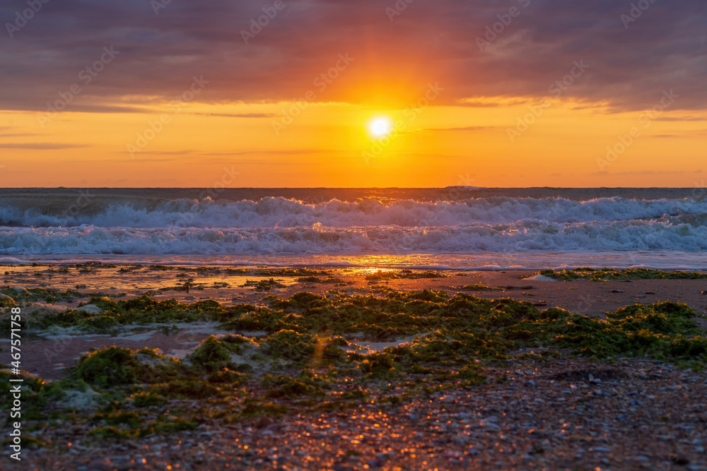 Fototapeta premium sunset on the beach