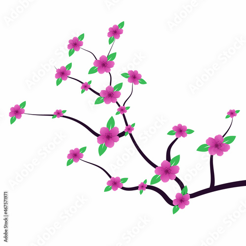 Sakura blossom branch frame. Falling petals, flowers. realistic Japanese pink cherry or apricot floral elements fall down vector background. Cherry blossom branch, flower vector illustration