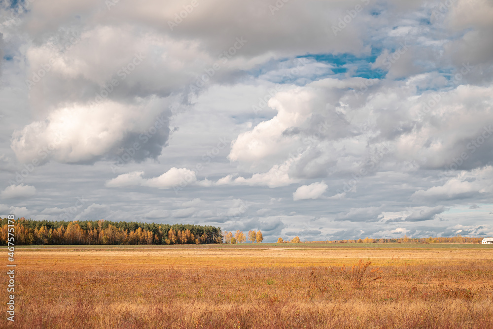 Fototapeta premium Autumn field against a cloudy sky 