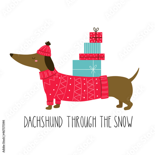 Cute dachshund with hand drawn lettering- Dachshund through the snow. Christmas characters. Vector hand-drawn color children's illustration. 