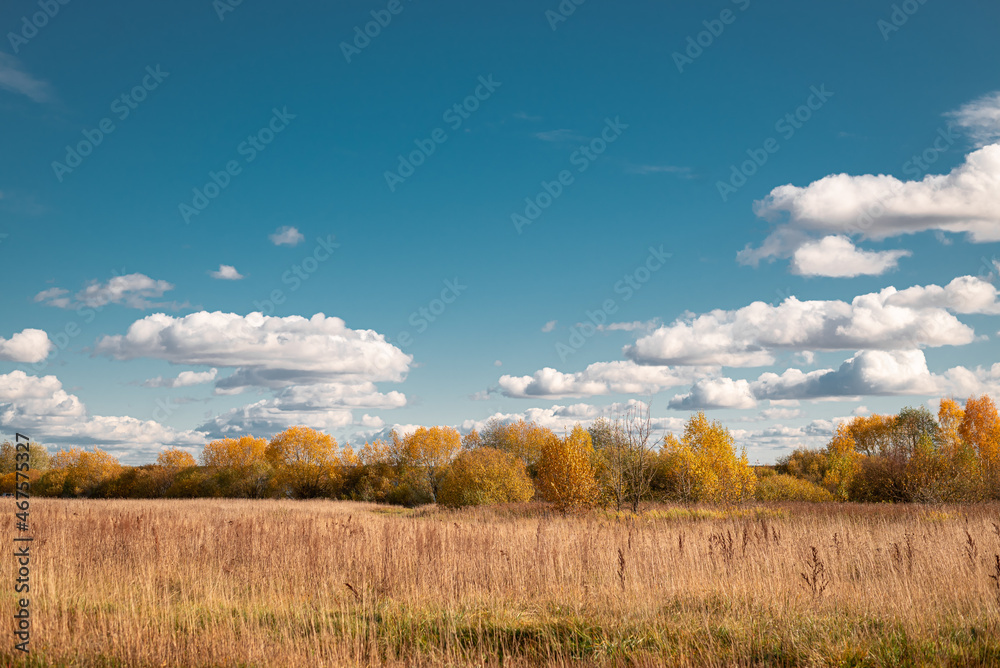 Autumn field against a cloudy sky 