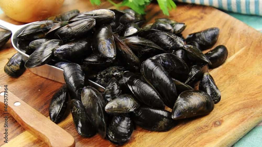 tas de moules crues en gros plan tas de moules crues en gros plan