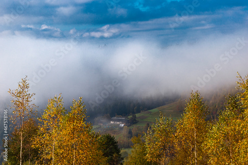 Fabulous autumn nature with yellow birches in the foreground. Autumn in the Carpathian mountains with fog and golden trees. Beauty of nature concept background.