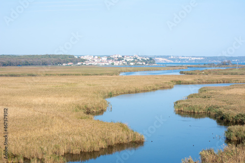 The lake among the yellowed reeds. Autumn in Igneada Mert Lake. © osmanozeroz