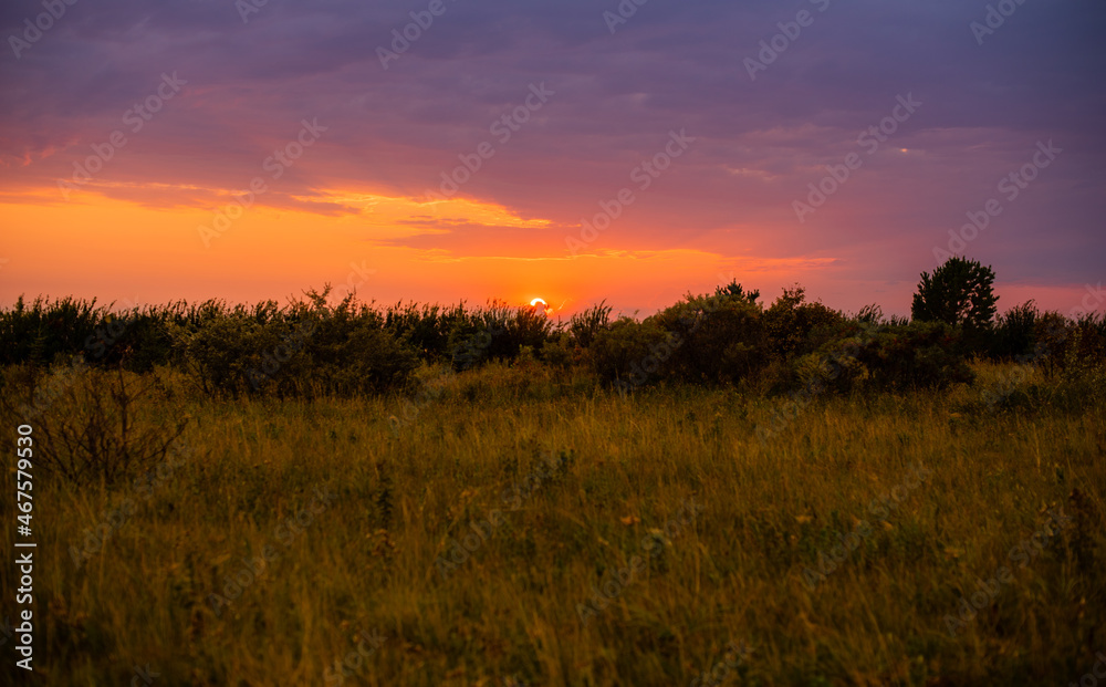 sunset in the field sunset in the field