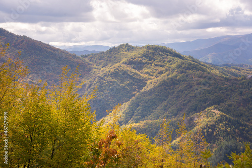 Mountains covered with colorful forest in autumn © Maresol