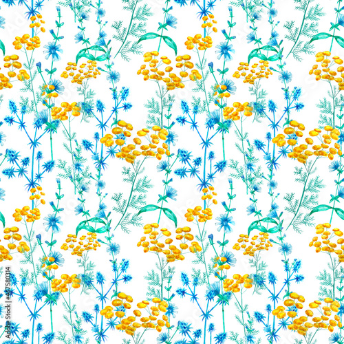 Watercolor pattern with meadow flowers. Chicory, tansy, erythematous, eringium. photo