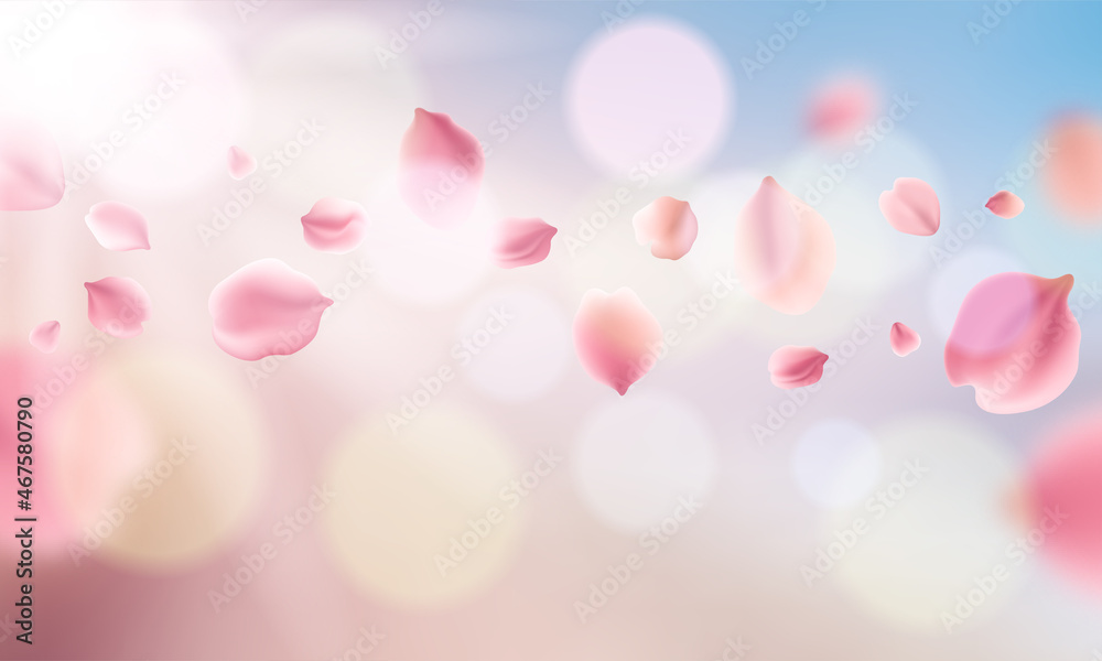 rose petals in soft color and blur style vector background