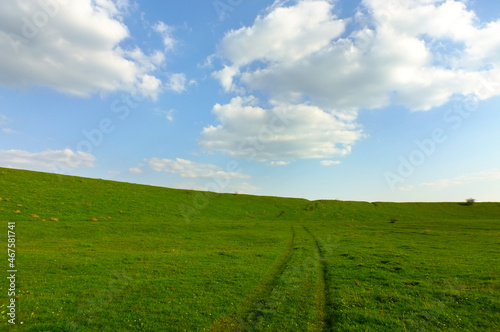 field and blue sky with clouds background
