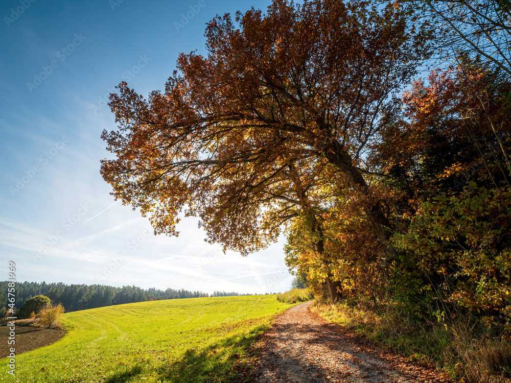 Bavarian Green Landscape in Autumn Time Zone