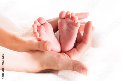 Newborn baby feet in mom's hands © ghigomeg