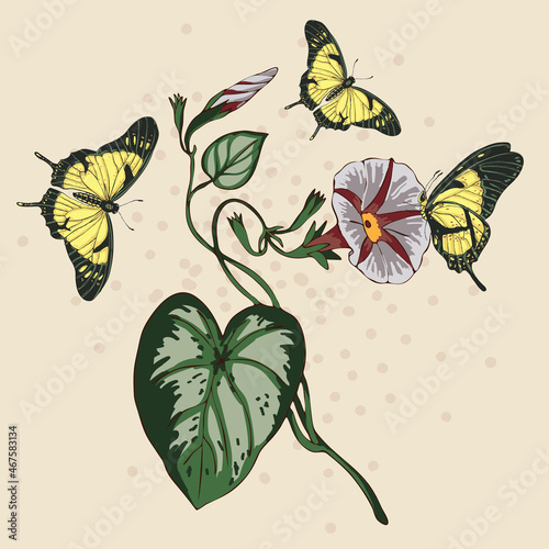 background with butterflies
