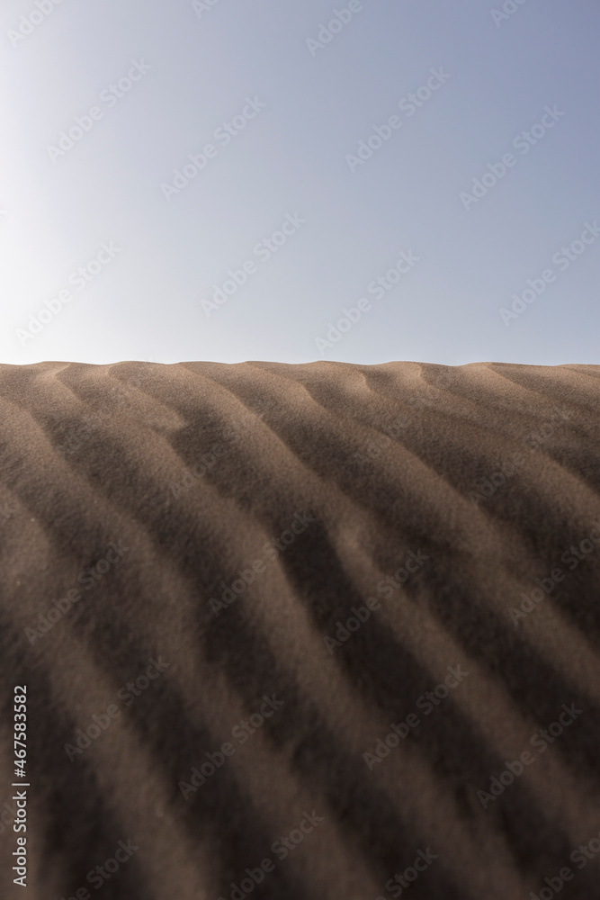 Naklejka premium sand dunes on the beach