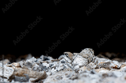 Foto expanse of burnt wood ash