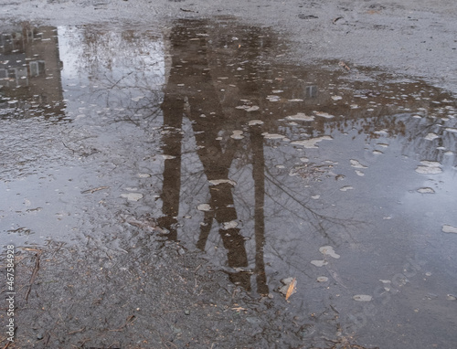 reflection of a tree and a building in an autumn puddle