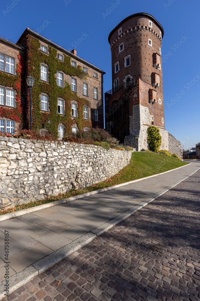 Krakow, Poland - October 25, 2021: Wawel Royal Castle on a sunny autumn day, facade of building with colorful leaves of wild wine creeper