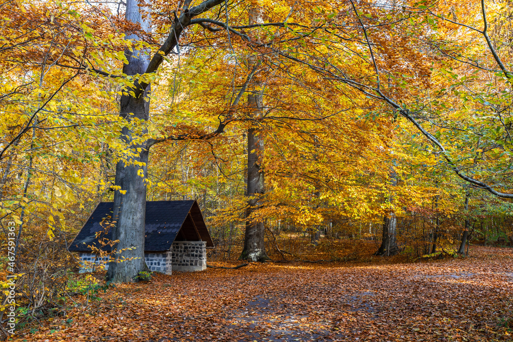Hütte im Wald im Herbst mit schönen warmen Farben 