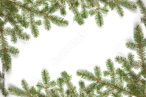Frame of fir branches on a white background. Christmas frames or borders with fir tree.