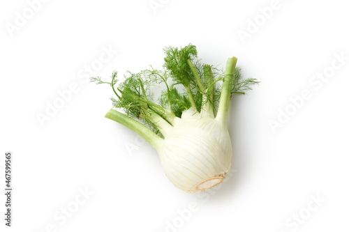 Fennel isolated top view