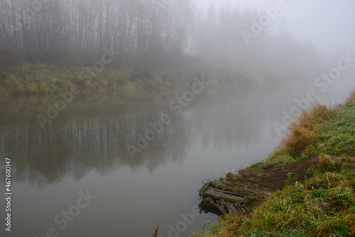 the Russian landscape - the river and the wood in the fall
