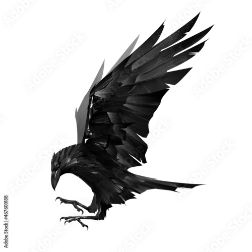 hand-drawn flying silhouette bird raven on white background
