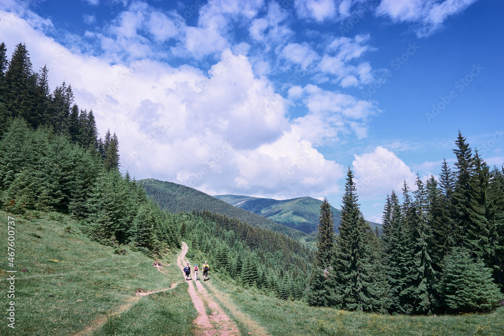 Summer in the Carpathian Mountains. Beautiful landscape with green valley and pathway in forest.